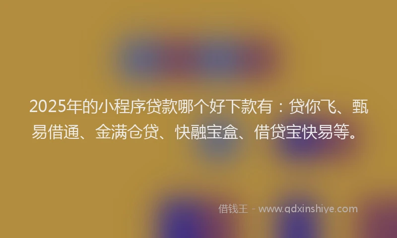 2025年的小程序贷款哪个好下款有：贷你飞、甄易借通、金满仓贷、快融宝盒、借贷宝快易等。