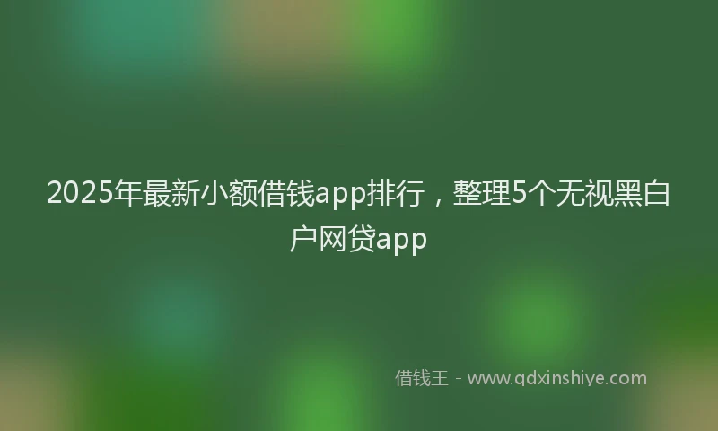2025年最新小额借钱app排行，整理5个无视黑白户网贷app