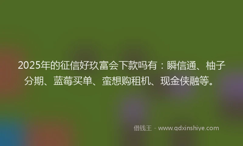 2025年的征信好玖富会下款吗有：瞬信通、柚子分期、蓝莓买单、蛮想购租机、现金侠融等。