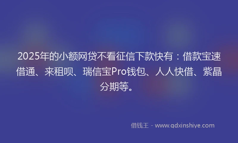 2025年的小额网贷不看征信下款快有：借款宝速借通、来租呗、瑞信宝Pro钱包、人人快借、紫晶分期等。