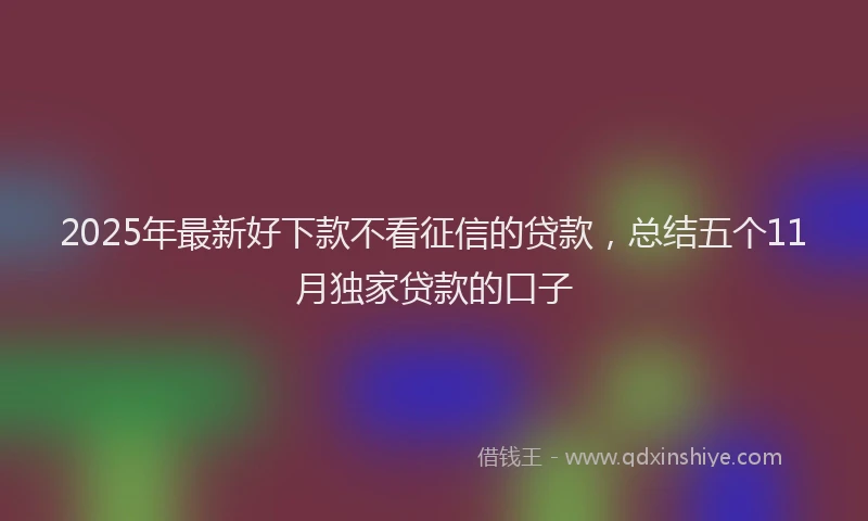 2025年最新好下款不看征信的贷款，总结五个11月独家贷款的口子