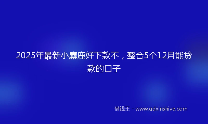 2025年最新小麋鹿好下款不，整合5个12月能贷款的口子