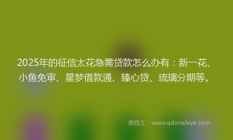 2025年的征信太花急需贷款怎么办有：新一花、小鱼免审、星梦借款通、臻心贷、琉璃分期等。