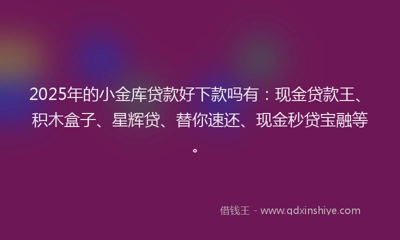2025年的小金库贷款好下款吗有：现金贷款王、积木盒子、星辉贷、替你速还、现金秒贷宝融等。