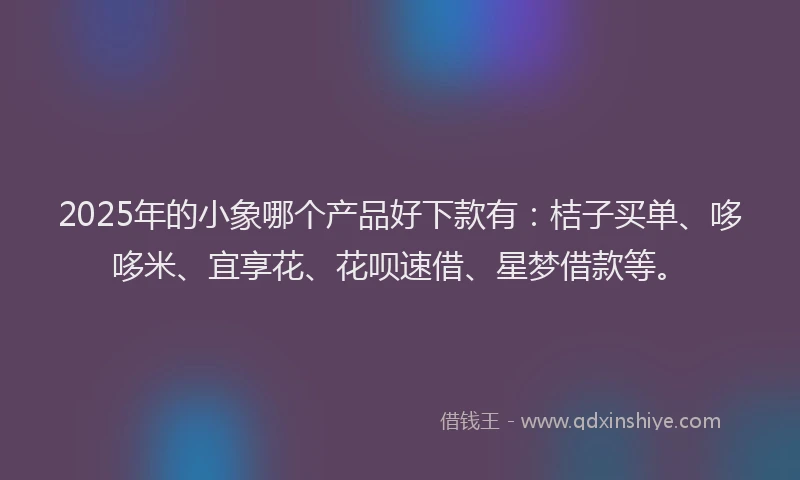 2025年的小象哪个产品好下款有：桔子买单、哆哆米、宜享花、花呗速借、星梦借款等。
