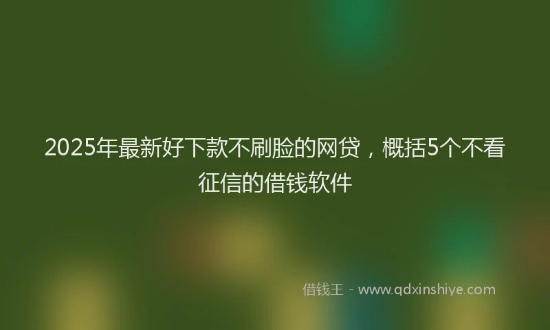 2025年最新好下款不刷脸的网贷，概括5个不看征信的借钱软件