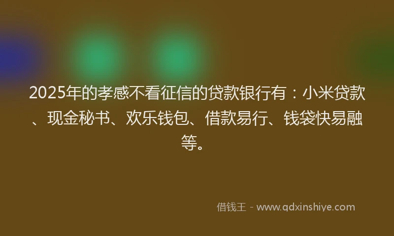 2025年的孝感不看征信的贷款银行有：小米贷款、现金秘书、欢乐钱包、借款易行、钱袋快易融等。