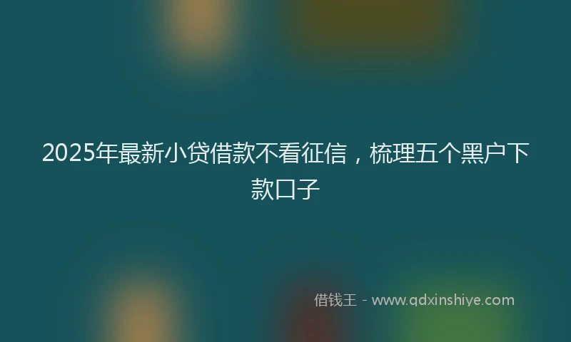 2025年最新小贷借款不看征信，梳理五个黑户下款口子