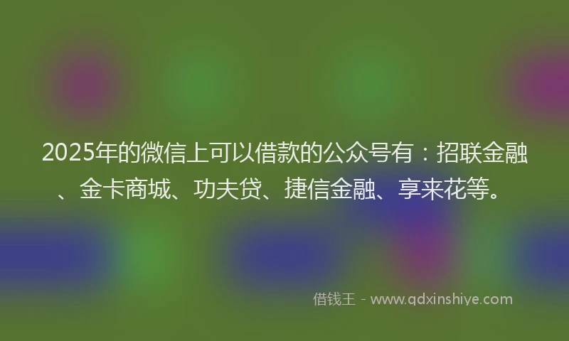 2025年的微信上可以借款的公众号有：招联金融、金卡商城、功夫贷、捷信金融、享来花等。