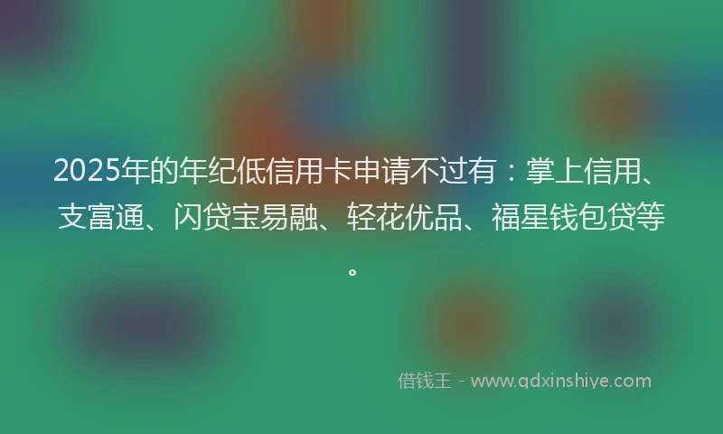 2025年的年纪低信用卡申请不过有：掌上信用、支富通、闪贷宝易融、轻花优品、福星钱包贷等。