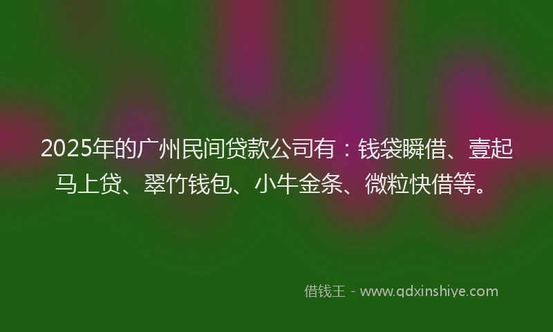 2025年的广州民间贷款公司有：钱袋瞬借、壹起马上贷、翠竹钱包、小牛金条、微粒快借等。