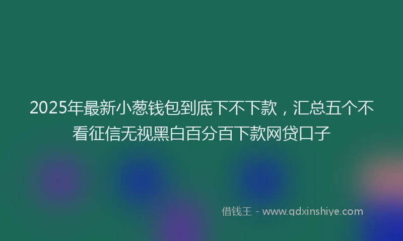2025年最新小葱钱包到底下不下款，汇总五个不看征信无视黑白百分百下款网贷口子