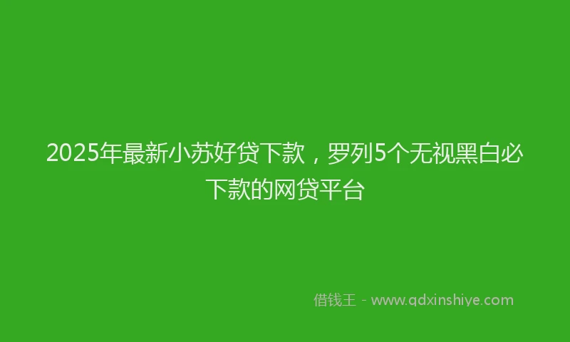 2025年最新小苏好贷下款，罗列5个无视黑白必下款的网贷平台