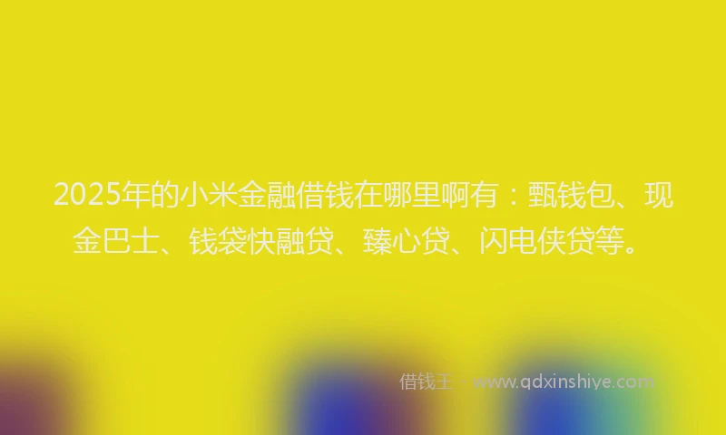 2025年的小米金融借钱在哪里啊有：甄钱包、现金巴士、钱袋快融贷、臻心贷、闪电侠贷等。
