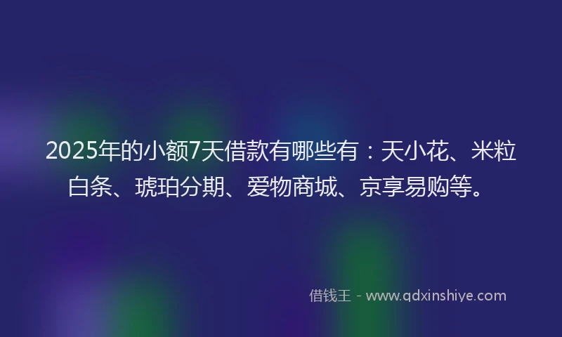 2025年的小额7天借款有哪些有：天小花、米粒白条、琥珀分期、爱物商城、京享易购等。