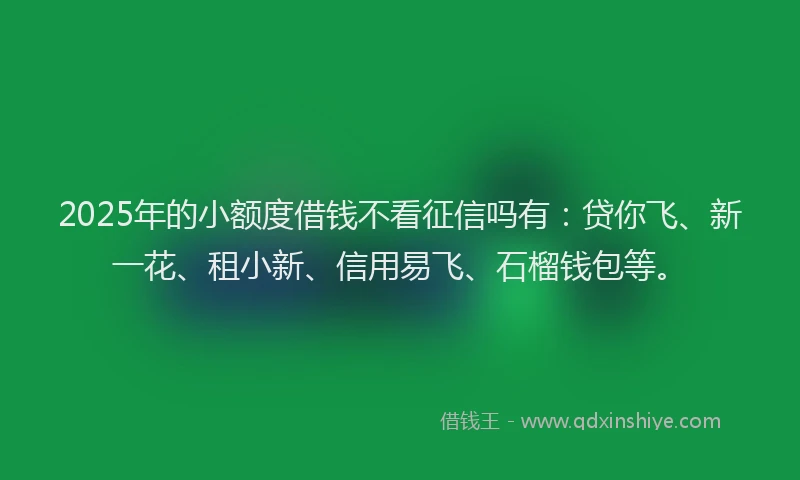 2025年的小额度借钱不看征信吗有：贷你飞、新一花、租小新、信用易飞、石榴钱包等。