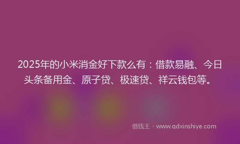 2025年的小米消金好下款么有：借款易融、今日头条备用金、原子贷、极速贷、祥云钱包等。