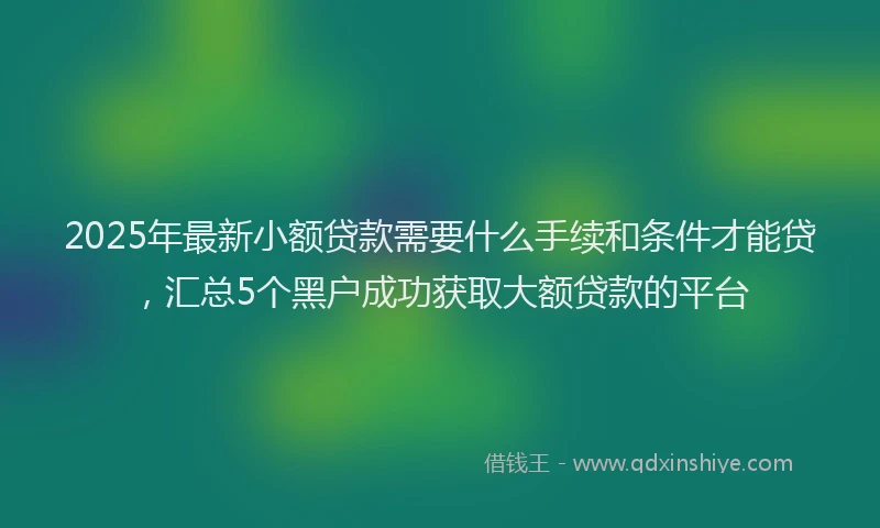 2025年最新小额贷款需要什么手续和条件才能贷，汇总5个黑户成功获取大额贷款的平台