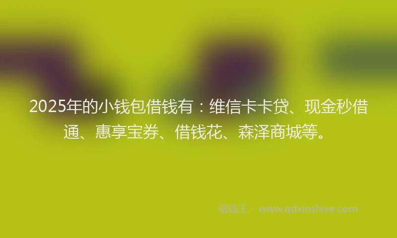 2025年的小钱包借钱有：维信卡卡贷、现金秒借通、惠享宝券、借钱花、森泽商城等。