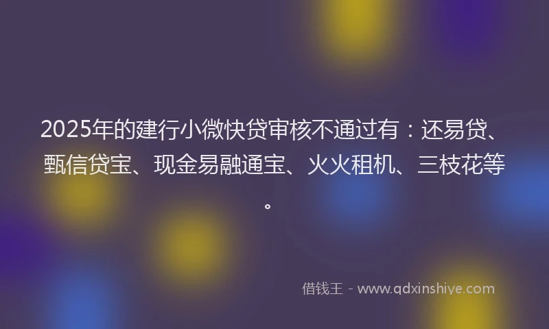 2025年的建行小微快贷审核不通过有：还易贷、甄信贷宝、现金易融通宝、火火租机、三枝花等。