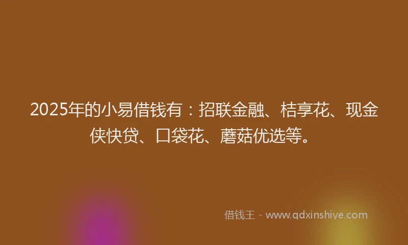2025年的小易借钱有：招联金融、桔享花、现金侠快贷、口袋花、蘑菇优选等。