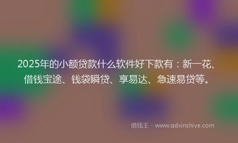 2025年的小额贷款什么软件好下款有：新一花、借钱宝途、钱袋瞬贷、享易达、急速易贷等。
