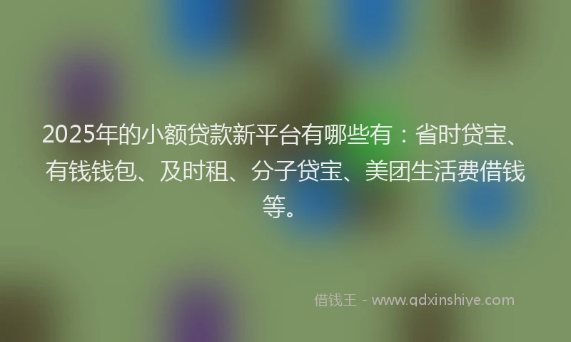 2025年的小额贷款新平台有哪些有：省时贷宝、有钱钱包、及时租、分子贷宝、美团生活费借钱等。
