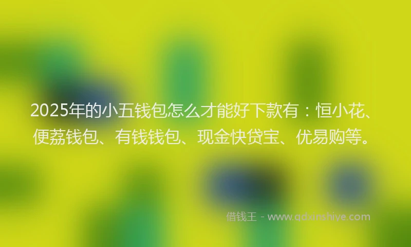 2025年的小五钱包怎么才能好下款有：恒小花、便荔钱包、有钱钱包、现金快贷宝、优易购等。