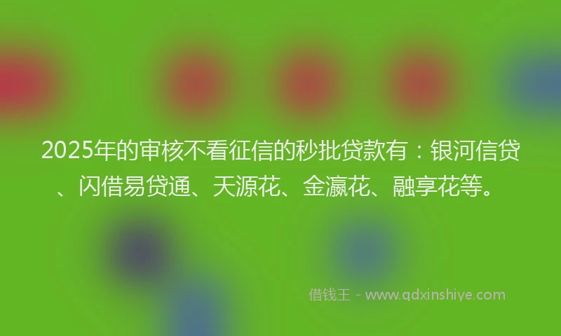 2025年的审核不看征信的秒批贷款有：银河信贷、闪借易贷通、天源花、金瀛花、融享花等。