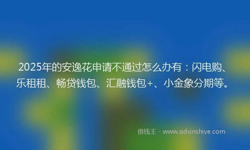 2025年的安逸花申请不通过怎么办有：闪电购、乐租租、畅贷钱包、汇融钱包+、小金象分期等。