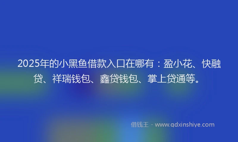 2025年的小黑鱼借款入口在哪有：盈小花、快融贷、祥瑞钱包、鑫贷钱包、掌上贷通等。