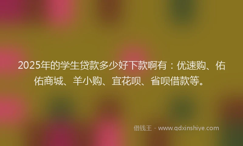 2025年的学生贷款多少好下款啊有：优速购、佑佑商城、羊小购、宜花呗、省呗借款等。