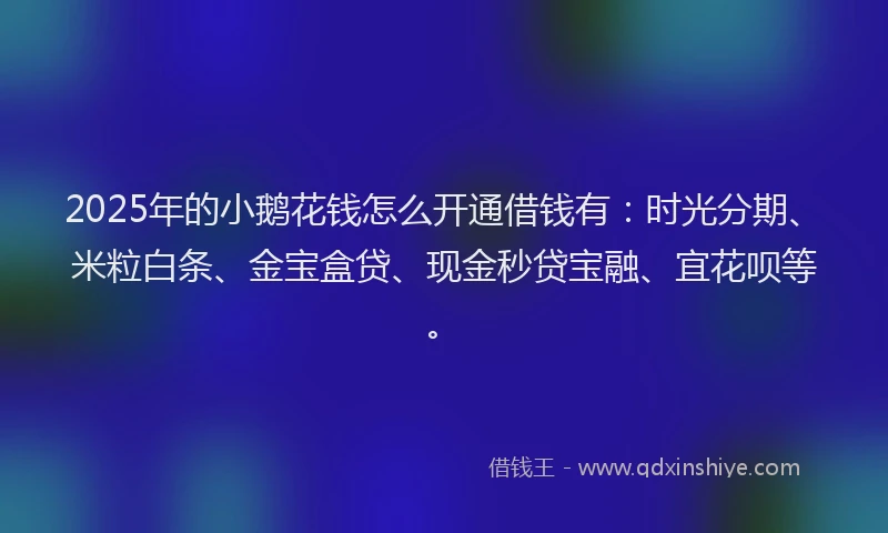 2025年的小鹅花钱怎么开通借钱有：时光分期、米粒白条、金宝盒贷、现金秒贷宝融、宜花呗等。