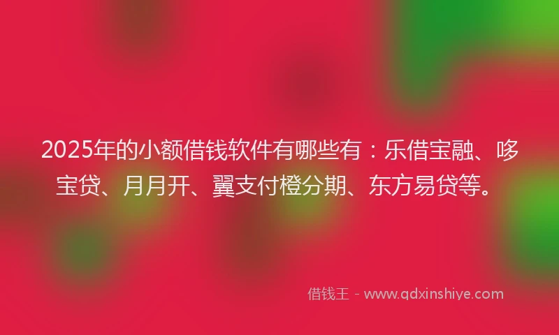 2025年的小额借钱软件有哪些有：乐借宝融、哆宝贷、月月开、翼支付橙分期、东方易贷等。