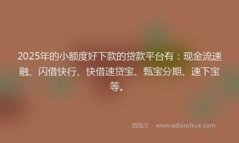 2025年的小额度好下款的贷款平台有：现金流速融、闪借快行、快借速贷宝、甄宝分期、速下宝等。