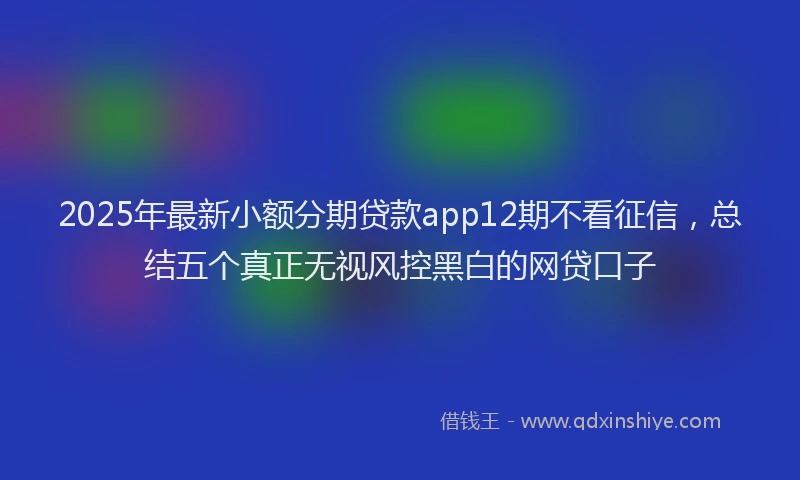 2025年最新小额分期贷款app12期不看征信，总结五个真正无视风控黑白的网贷口子