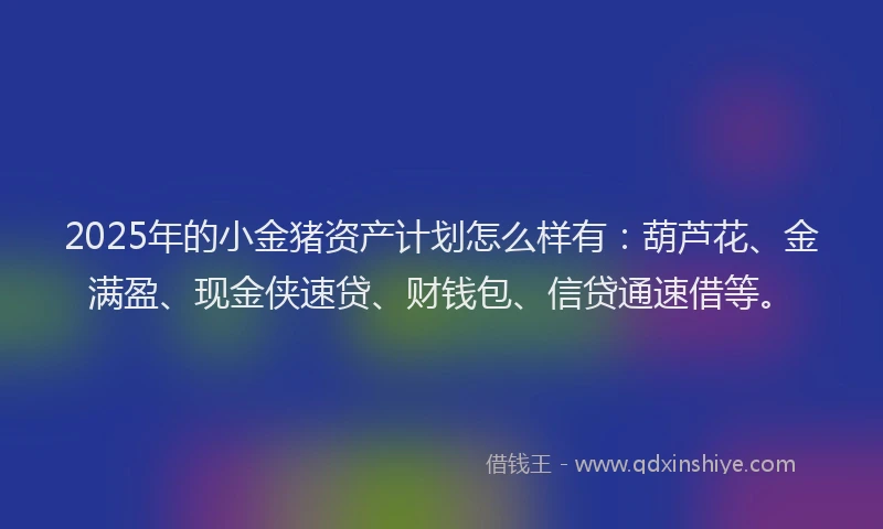 2025年的小金猪资产计划怎么样有：葫芦花、金满盈、现金侠速贷、财钱包、信贷通速借等。