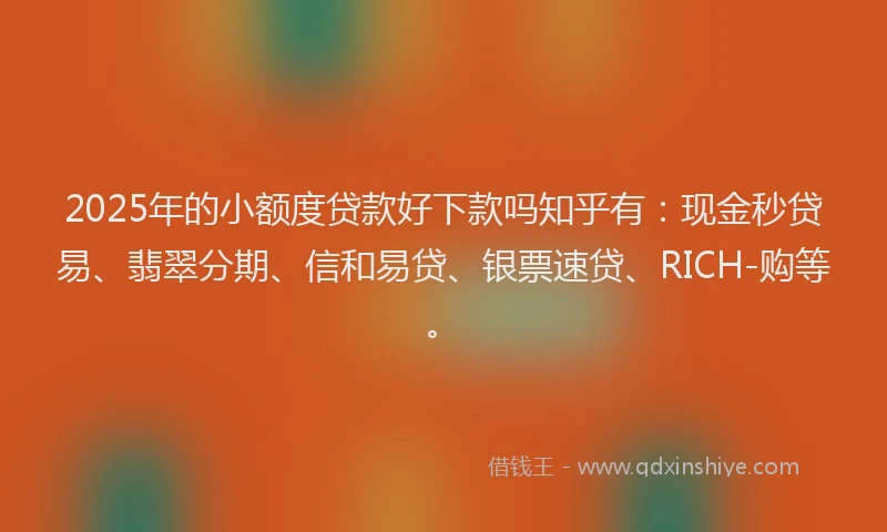 2025年的小额度贷款好下款吗知乎有：现金秒贷易、翡翠分期、信和易贷、银票速贷、RICH-购等。
