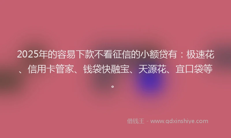 2025年的容易下款不看征信的小额贷有：极速花、信用卡管家、钱袋快融宝、天源花、宜口袋等。
