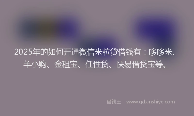 2025年的如何开通微信米粒贷借钱有：哆哆米、羊小购、金租宝、任性贷、快易借贷宝等。