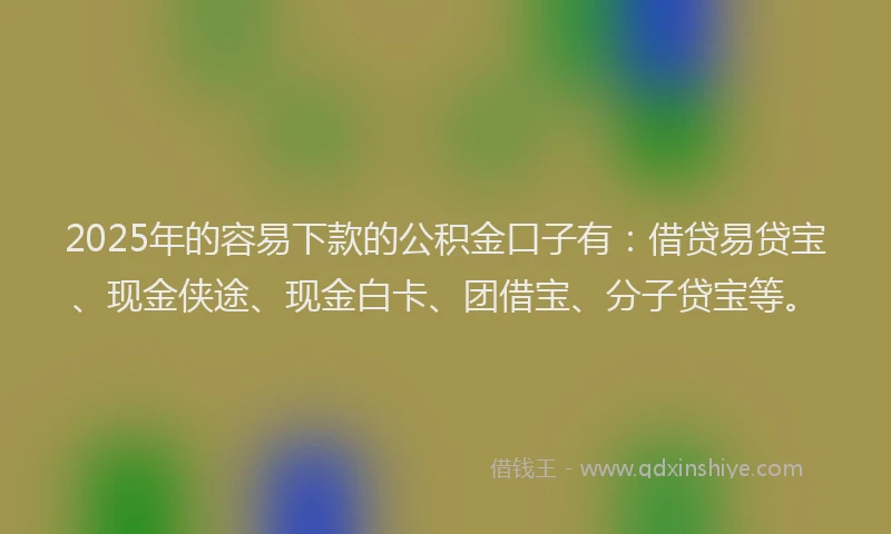 2025年的容易下款的公积金口子有：借贷易贷宝、现金侠途、现金白卡、团借宝、分子贷宝等。