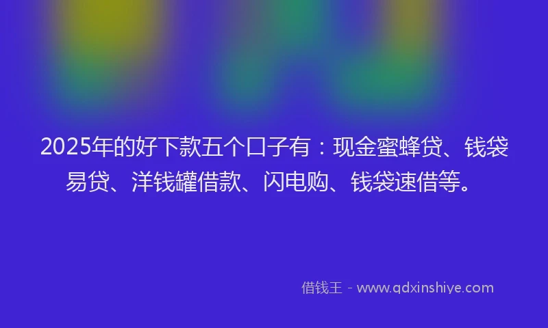 2025年的好下款五个口子有：现金蜜蜂贷、钱袋易贷、洋钱罐借款、闪电购、钱袋速借等。