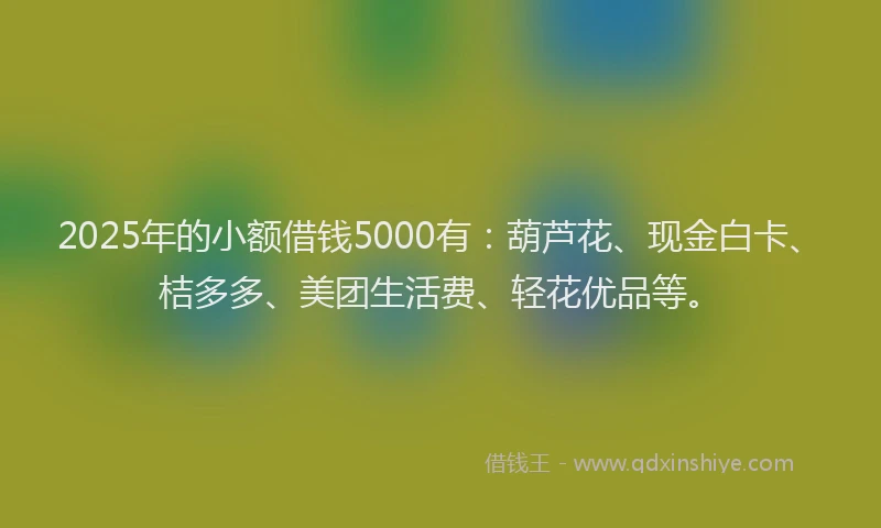 2025年的小额借钱5000有：葫芦花、现金白卡、桔多多、美团生活费、轻花优品等。