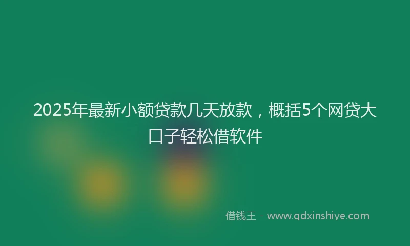2025年最新小额贷款几天放款，概括5个网贷大口子轻松借软件