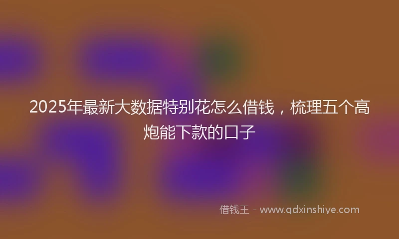 2025年最新大数据特别花怎么借钱，梳理五个高炮能下款的口子
