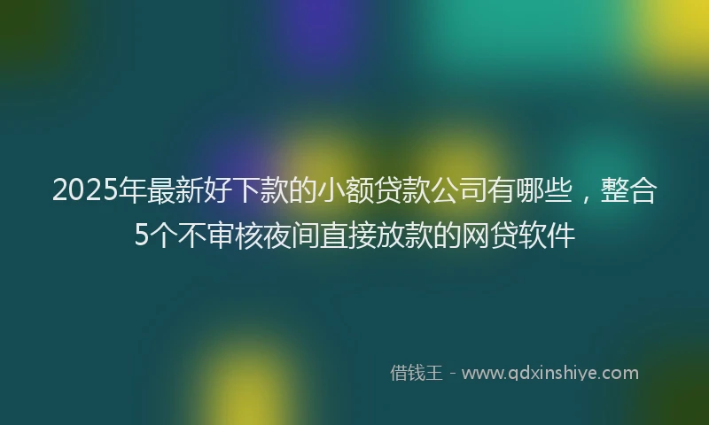 2025年最新好下款的小额贷款公司有哪些，整合5个不审核夜间直接放款的网贷软件