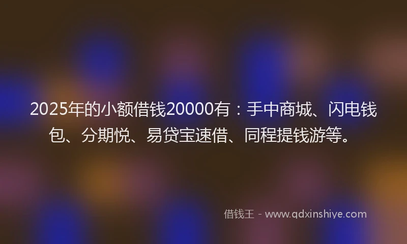 2025年的小额借钱20000有：手中商城、闪电钱包、分期悦、易贷宝速借、同程提钱游等。