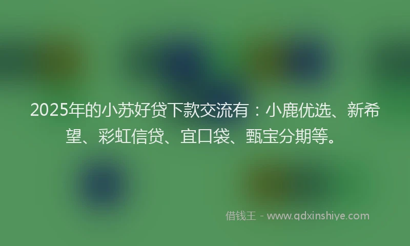 2025年的小苏好贷下款交流有：小鹿优选、新希望、彩虹信贷、宜口袋、甄宝分期等。