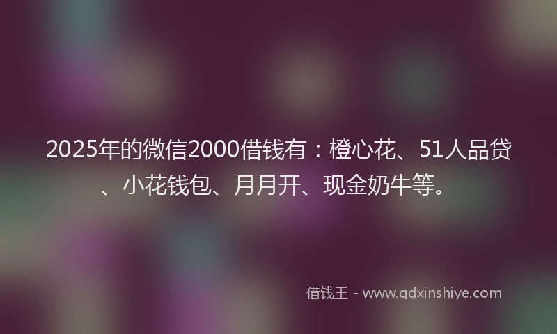 2025年的微信2000借钱有：橙心花、51人品贷、小花钱包、月月开、现金奶牛等。