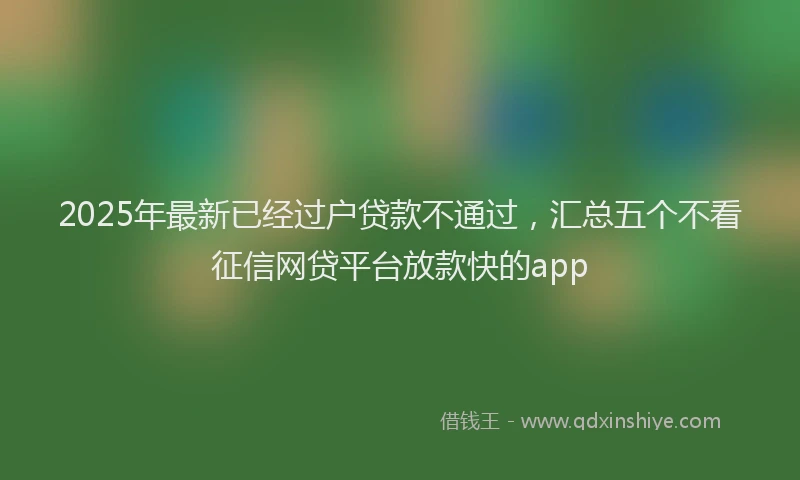 2025年最新已经过户贷款不通过，汇总五个不看征信网贷平台放款快的app